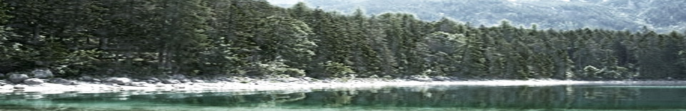 pmm-9
